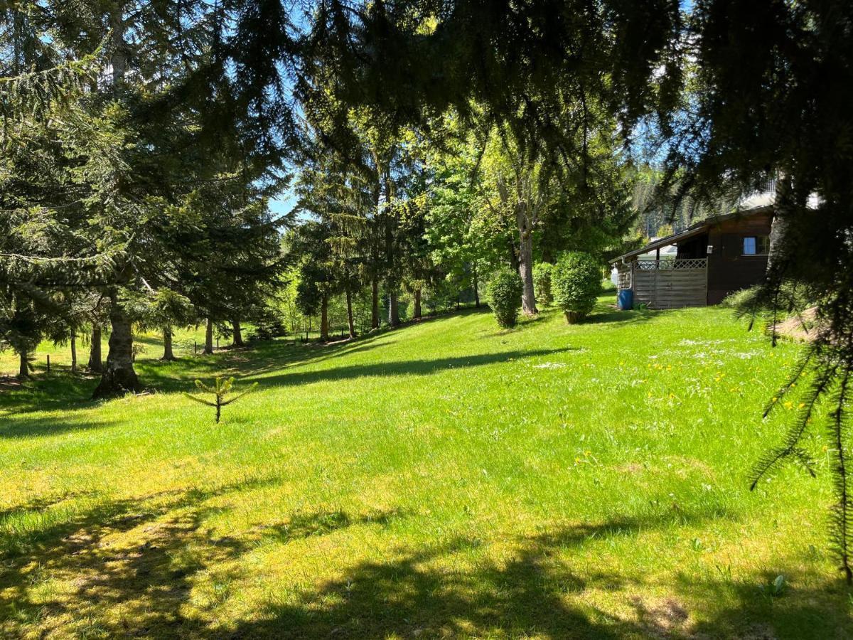 Schwarzwald - Villa Appartments Titisee Exterior foto