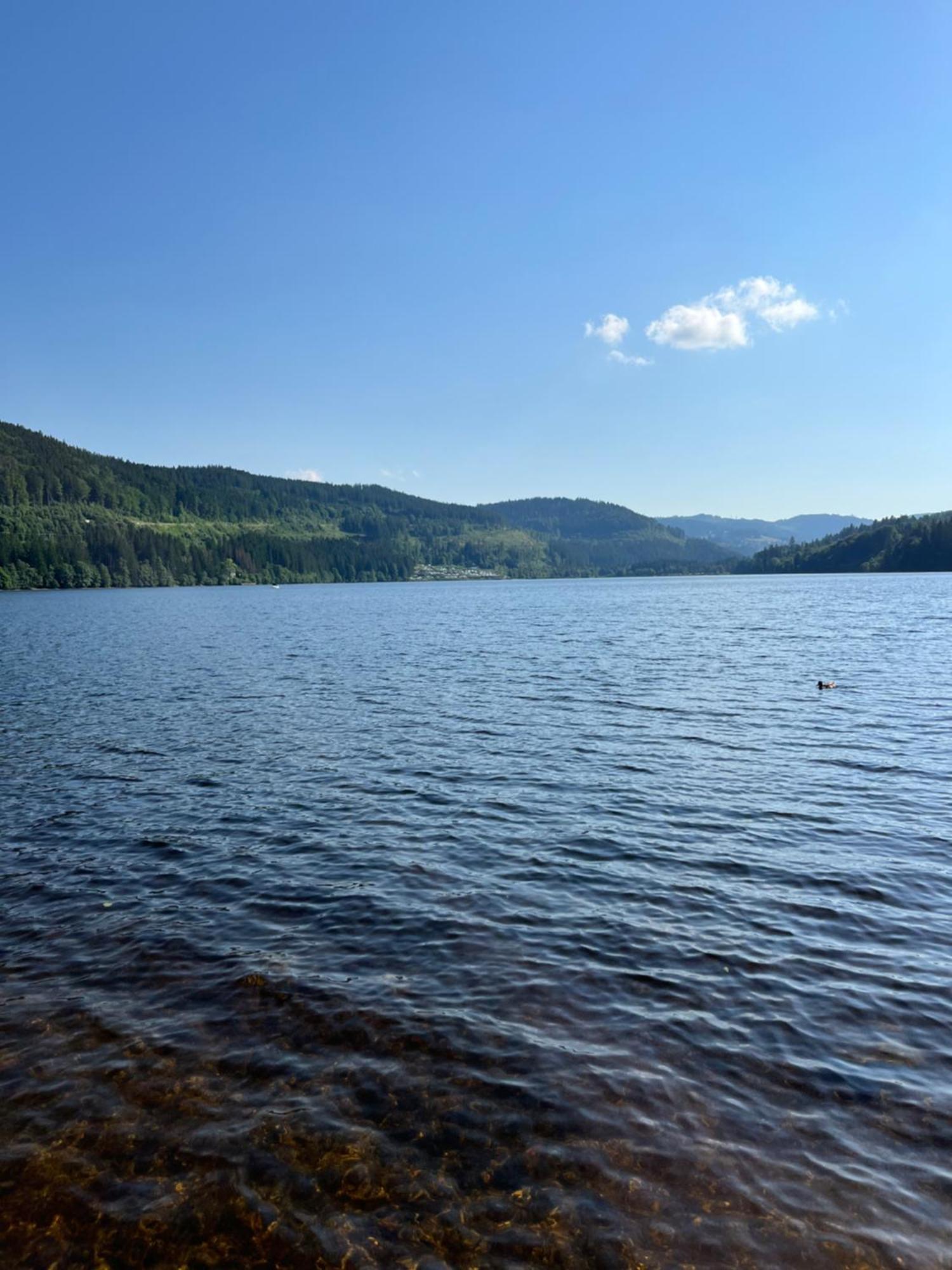 Schwarzwald - Villa Appartments Titisee Exterior foto