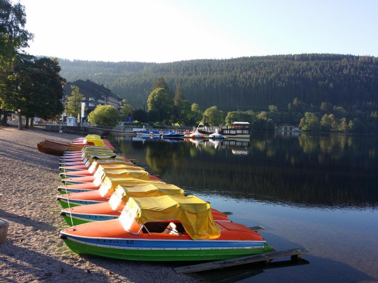 Schwarzwald - Villa Appartments Titisee Exterior foto